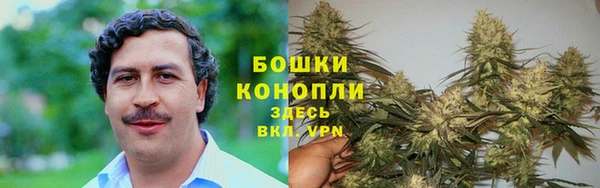 apvp Елабуга