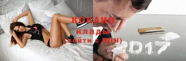 spice Ельня