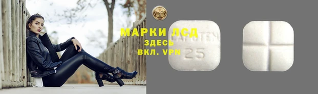 spice Ельня