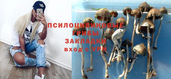 spice Ельня