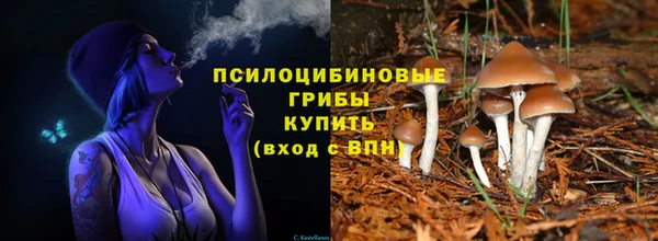 apvp Елабуга