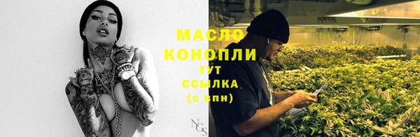 spice Ельня
