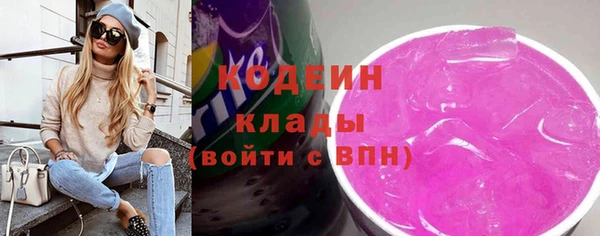 spice Ельня