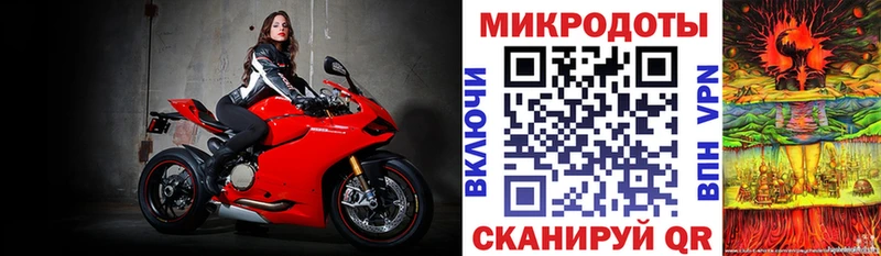 Псилоцибиновые грибы мицелий Купить Знаменск